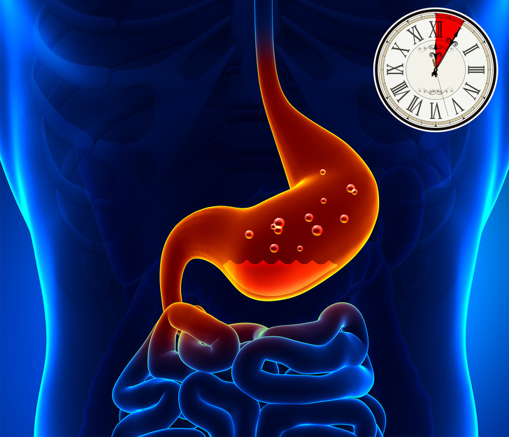 How Long Do Different Foods Take To Digest And Why It Makes A